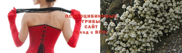 бошки Балахна