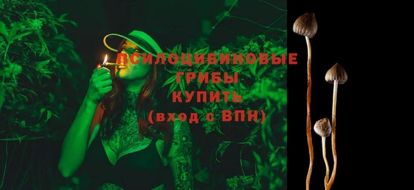 ECSTASY Магадан