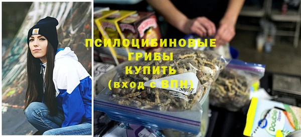 ALPHA PVP Мегион