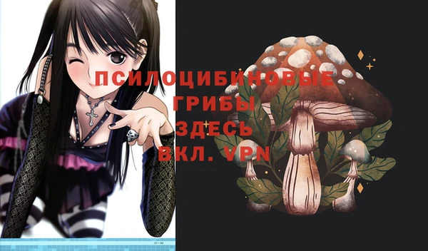 бутират Медвежьегорск