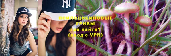 ALPHA PVP Мегион