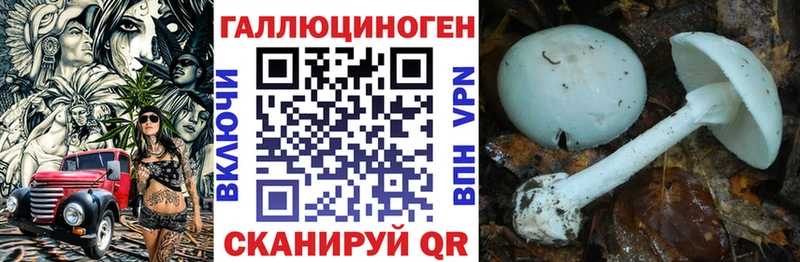 Галлюциногенные грибы ЛСД  Чайковский 