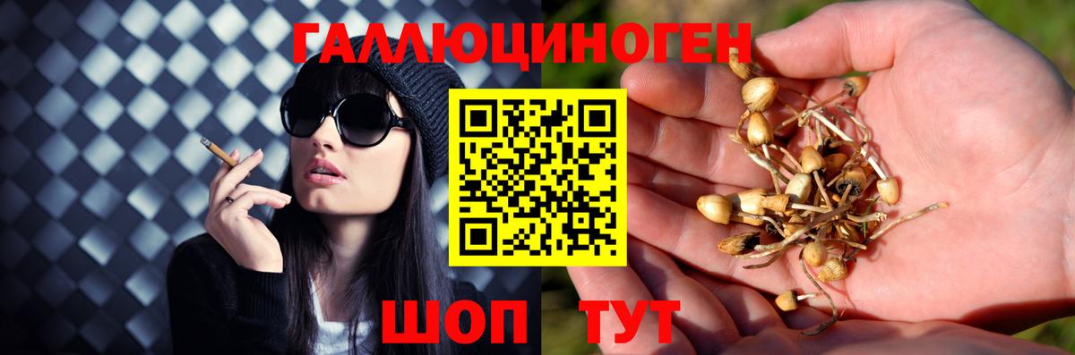 Галлюциногенные грибы Cubensis Чайковский